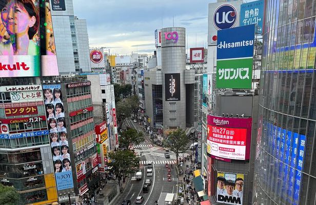Dynamic Tokyo Private Custom Walking Tour