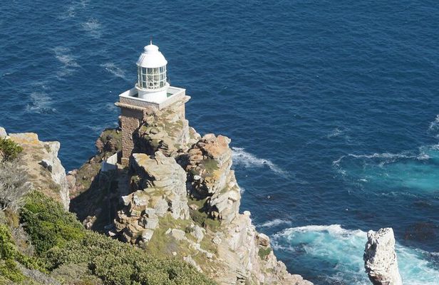 Private Full day Cape of Good Hope, Boulders Penguin, Cape Point