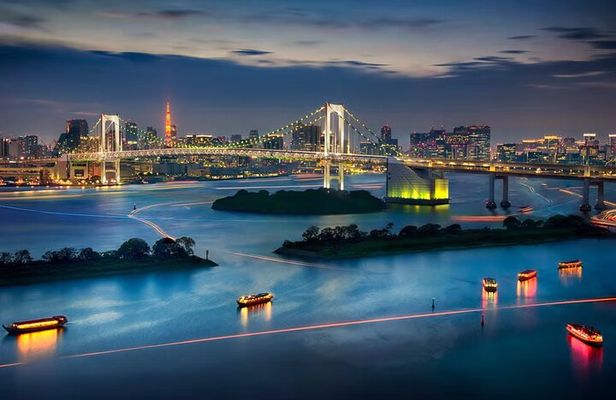 Tokyo Private Driving Tour by Car/Van with English Chauffeur