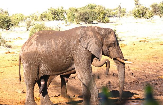 3 Days Private Trip to Victoria Falls Chobe Tour