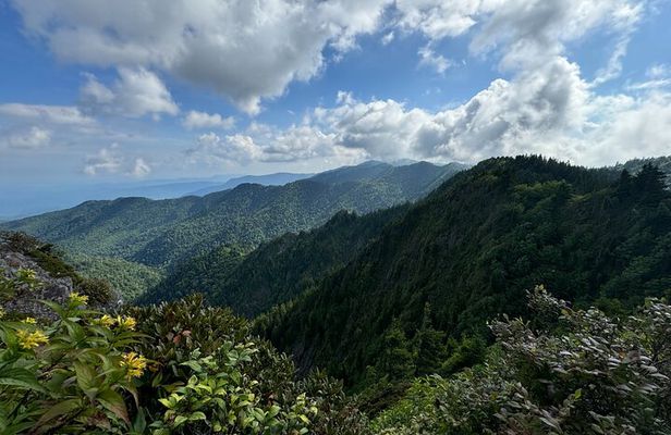 Best of the Smokies Custom Private Tour