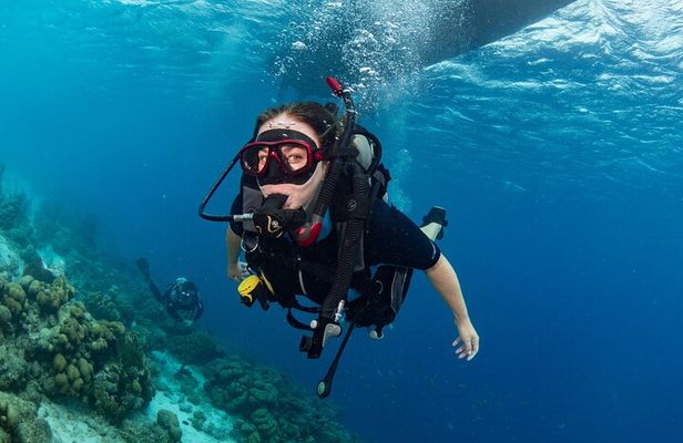 private Boat Dive charter Marine Park, incl. guide, all Equipment