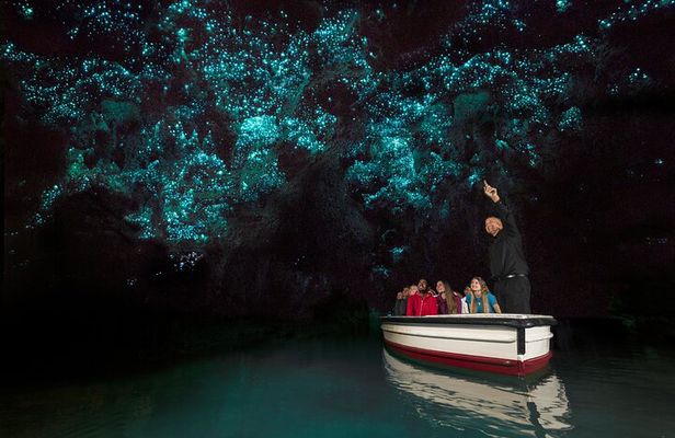 Auckland to Rotorua via Waitomo Caves One-Way Private Tour