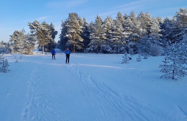 From Tallinn Learn to Ski in Estonia Cross Country Skiing