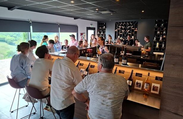 Beaujolais Half Day Wine Tasting Tour