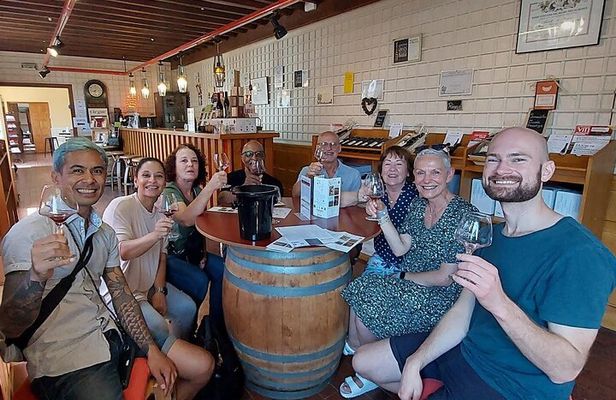 Beaujolais 100% wine tour Small-Group Tour with Tasting from Lyon