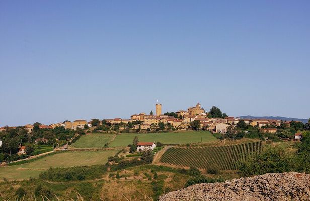 Golden stones Beaujolais Wine Tour with Tastings from Lyon