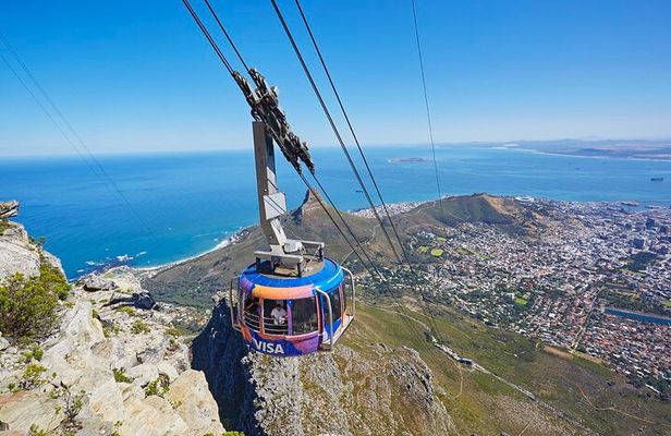 Table Mountain, Kirstenbosch & Constantia Full Day Private Tour