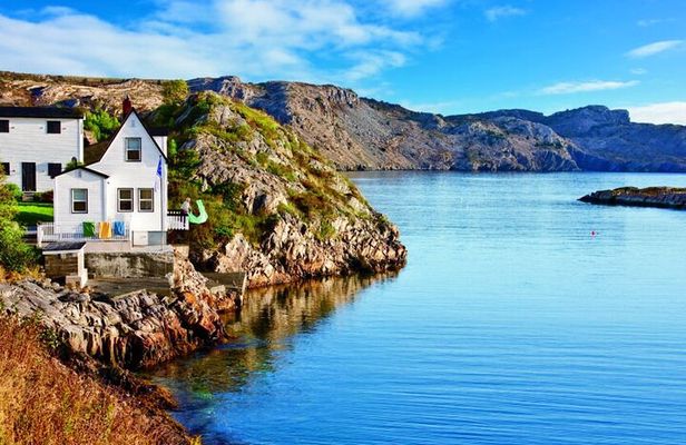 Conception Bay Tour Experience