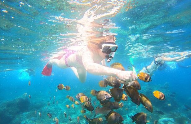 Nusa Penida Private Snorkeling and West Tour Start from Bali