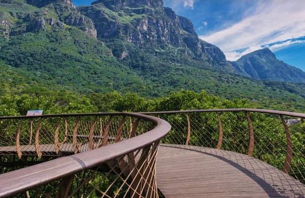 Kirstenbosch Botanical Garden and Table Mountain with Wine Tour