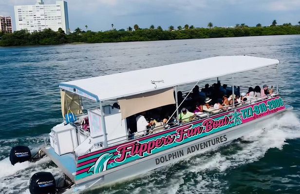 !! Flippers Fun Boat !! Dolphin Adventure Clearwater Beach!
