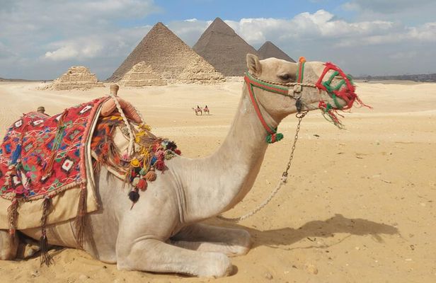 Complete Adventure in Giza: Pyramids, Camel & Quad ATV, dinner..