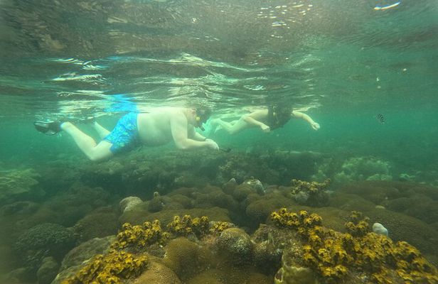 Phu Quoc: Snorkeling and Island Hopping By Speedboat with Lunch