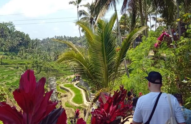 Wonderful of Ubud Full Day Private Guided Tour 