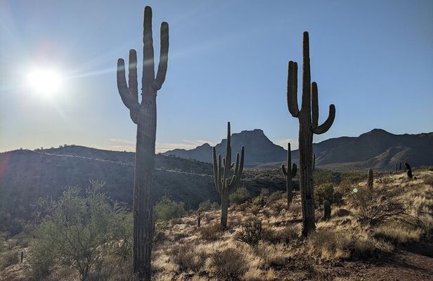 Guided Hike: Desert Copper Mile