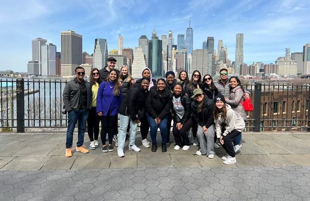 The Brooklyn Bridge, Heights, Dumbo Tour
