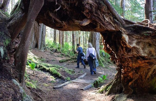 Adventure Hike | ALASKAN WILDERNESS TRAIL