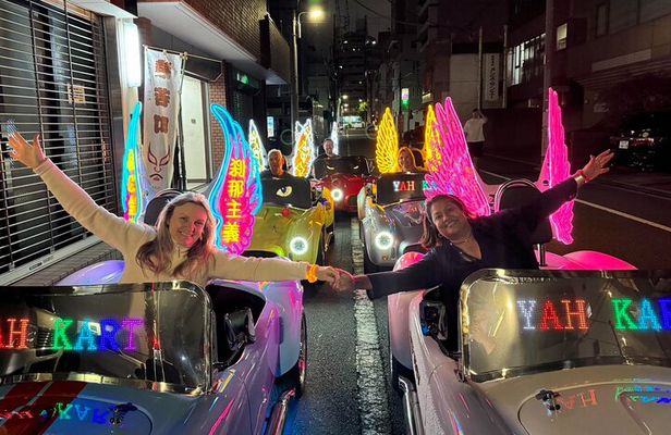 Tokyo:Akihabara Flash Go Kart Street Tour (including guide)