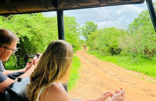 Yala National Park Safari Tours - Half Day & Full Day