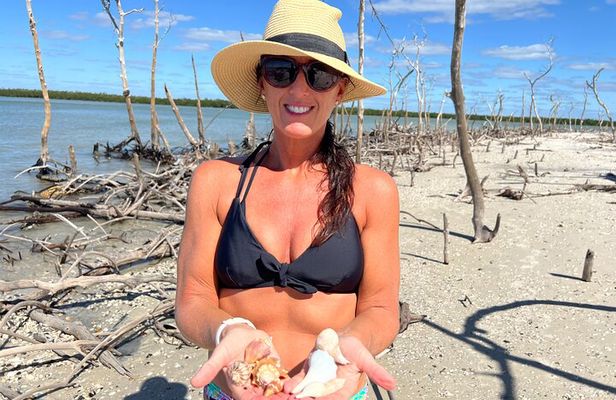 Private 4 Hour Shelling Adventure 10,000 Islands and Marco Island