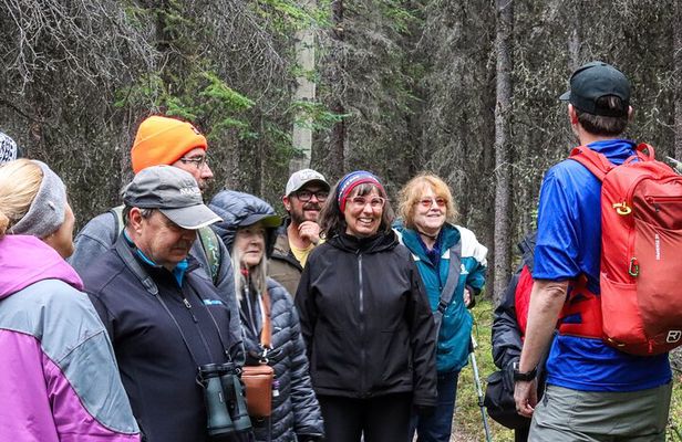 Denali Nature Hike