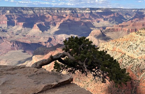 Grand Canyon Luxury Car Tour Experience