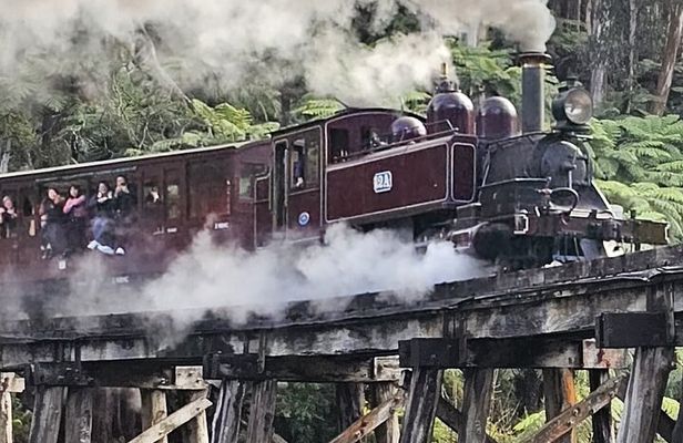 Puffing Billy and The Dandenong Ranges Private Experience