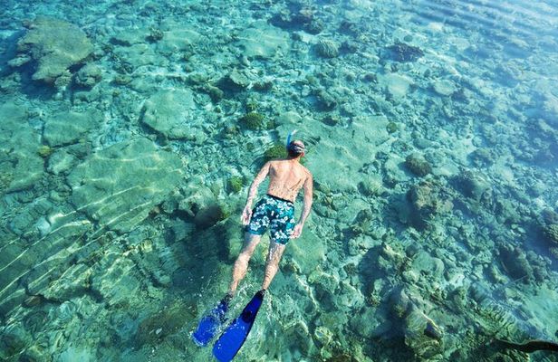 Bali Snorkeling and Waterfall Adventure Private Day Tour