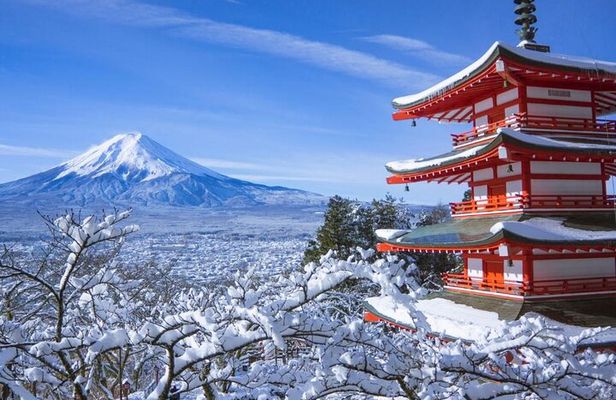 Private 1 Day Round Trip Tour from Tokyo to Mount Fuji
