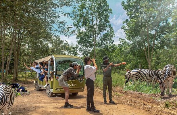 Safari Valley Eco Resort Day Tour with Activities