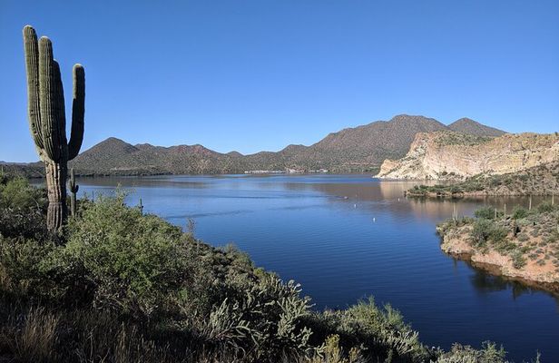 Guided Hike: Saguaro Lake View