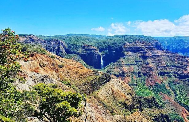 Kauai Private Guided Tour to Waimea Canyon from Nawiliwili