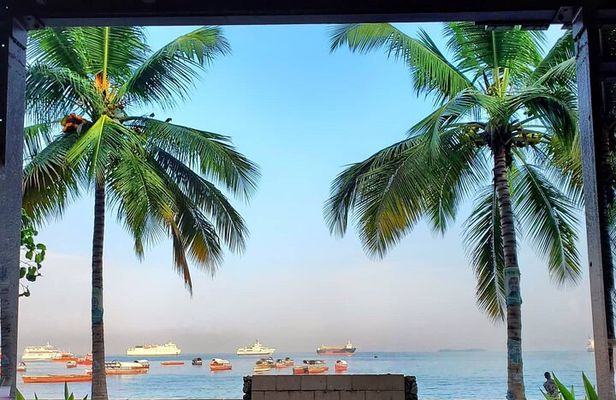 Explore the Whole Zanzibar Island in One Day