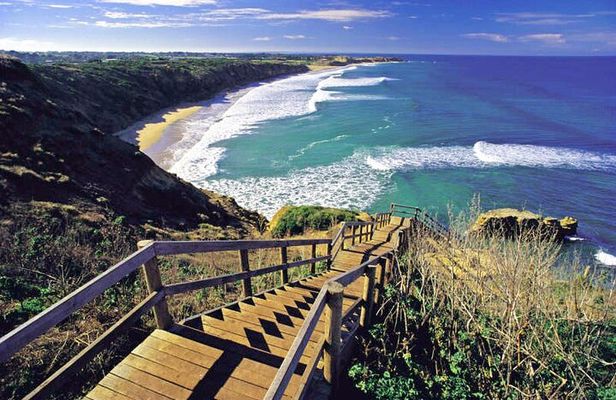 Great Ocean Road PRIVATE LUXURY Tour Reverse 5px Hotel Pick &drop