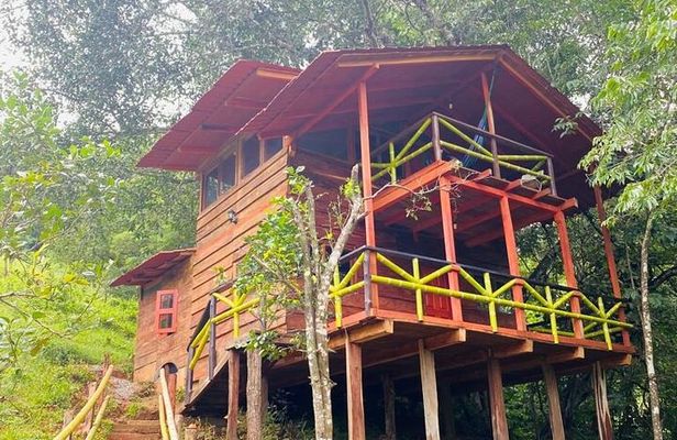 Sierra de Guerrero Waterfalls Tour with Transfers