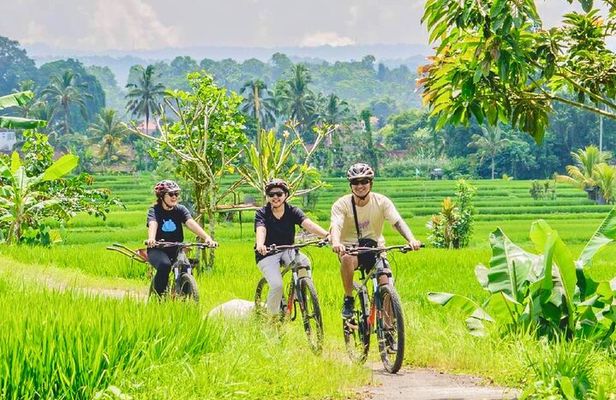 Countryside Cycling Tour From Sigiriya, Dambulla & Habarana