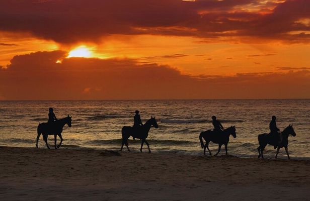 Afternoon Horseback Ride by the Beach in Aguadilla, Puerto Rico