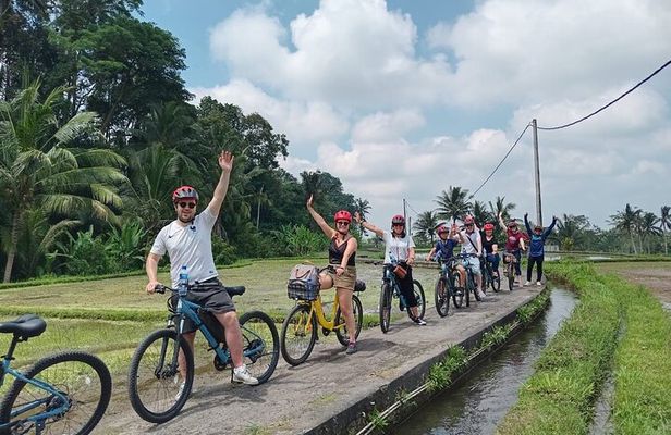 Explore Rice Fields and Hidden Villages with Ubud E-Bike Tour