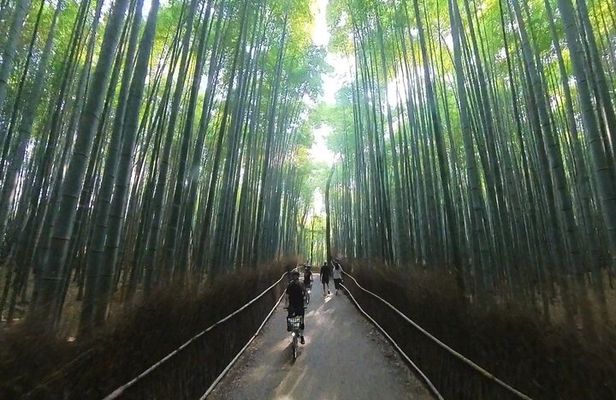 ONLY YOU in the Bamboo Forest! 4 hours E-bike tour with a local