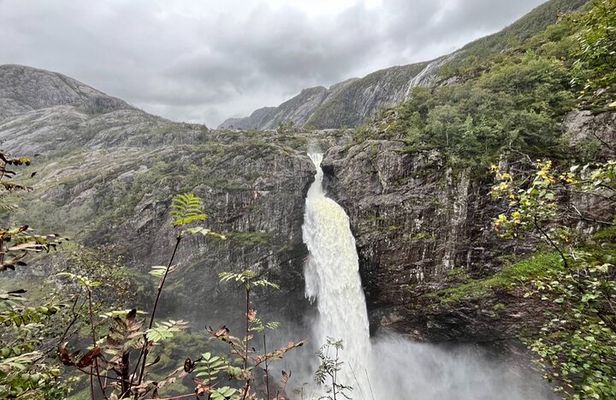 Stavanger Day Trip: Nature, Culture & Food