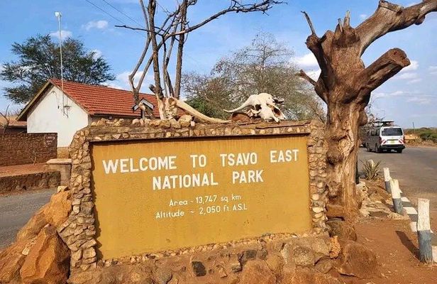1 Day Tsavo East Safari Discovery of Kenya's Wildlife
