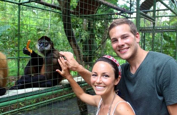 La Fortuna: Proyecto Asis Wildlife Rescue Center with transport