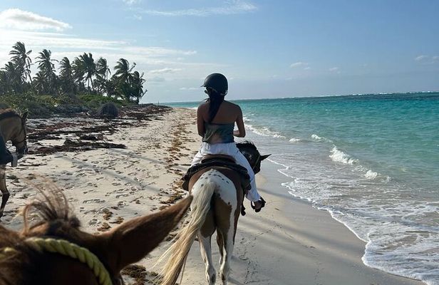 Bali Beach Horse Riding combo with waterfall All Inclusive