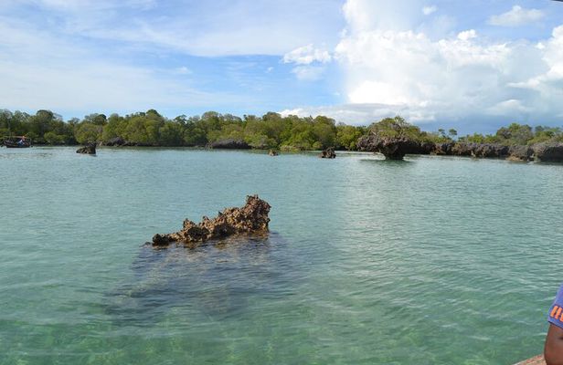 Private Safari Blue lagoon and Kwale Island Tour