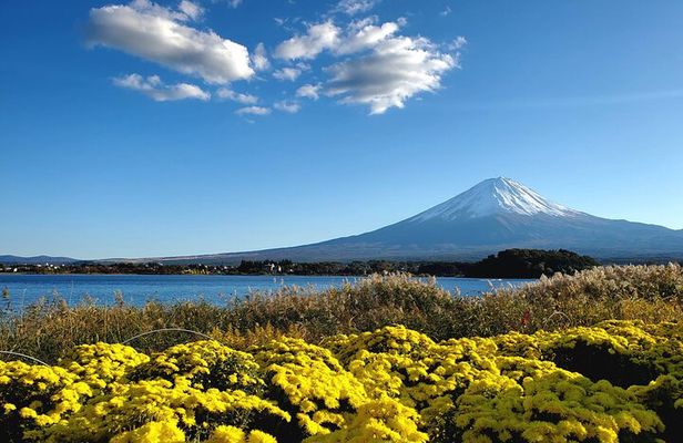 Mount Fuji Five Lakes Private Tour (Customizable)