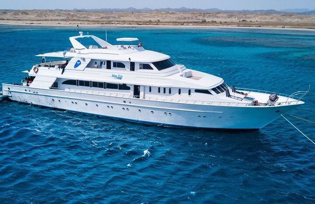 Snorkelling Adventure with Dugongs and Turtles in Marsa Mubarak