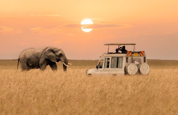 2 Days Private Budget Safari to Tarangire NP & Ngorongoro Crater 