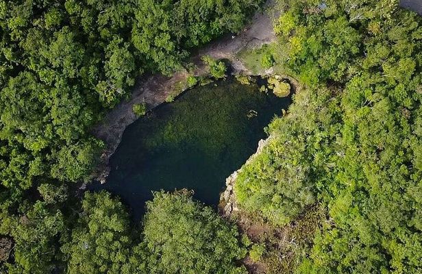 Private Jeep Cenotes Expedition in Cozumel