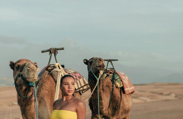 From Ouarzazate: 2 Days - 1 night Zagora Desert back to Marrakech